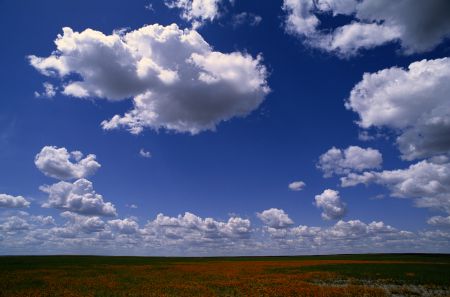 Зелёное поле с цветами, облака в небе. Фон, обои